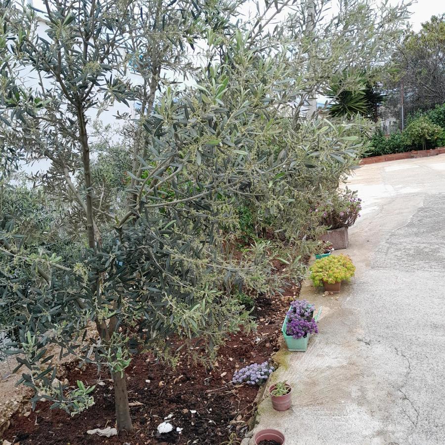 סרנדה Denni'S Home מראה חיצוני תמונה