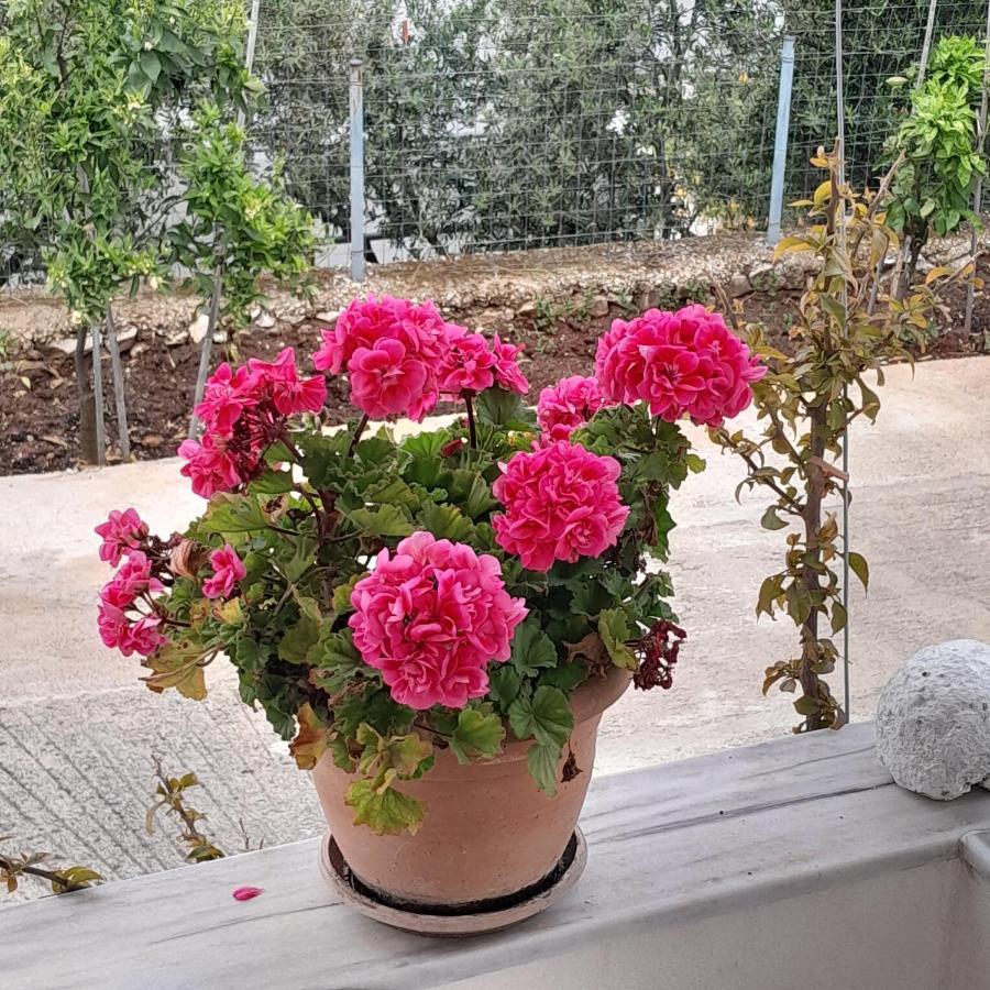 סרנדה Denni'S Home מראה חיצוני תמונה