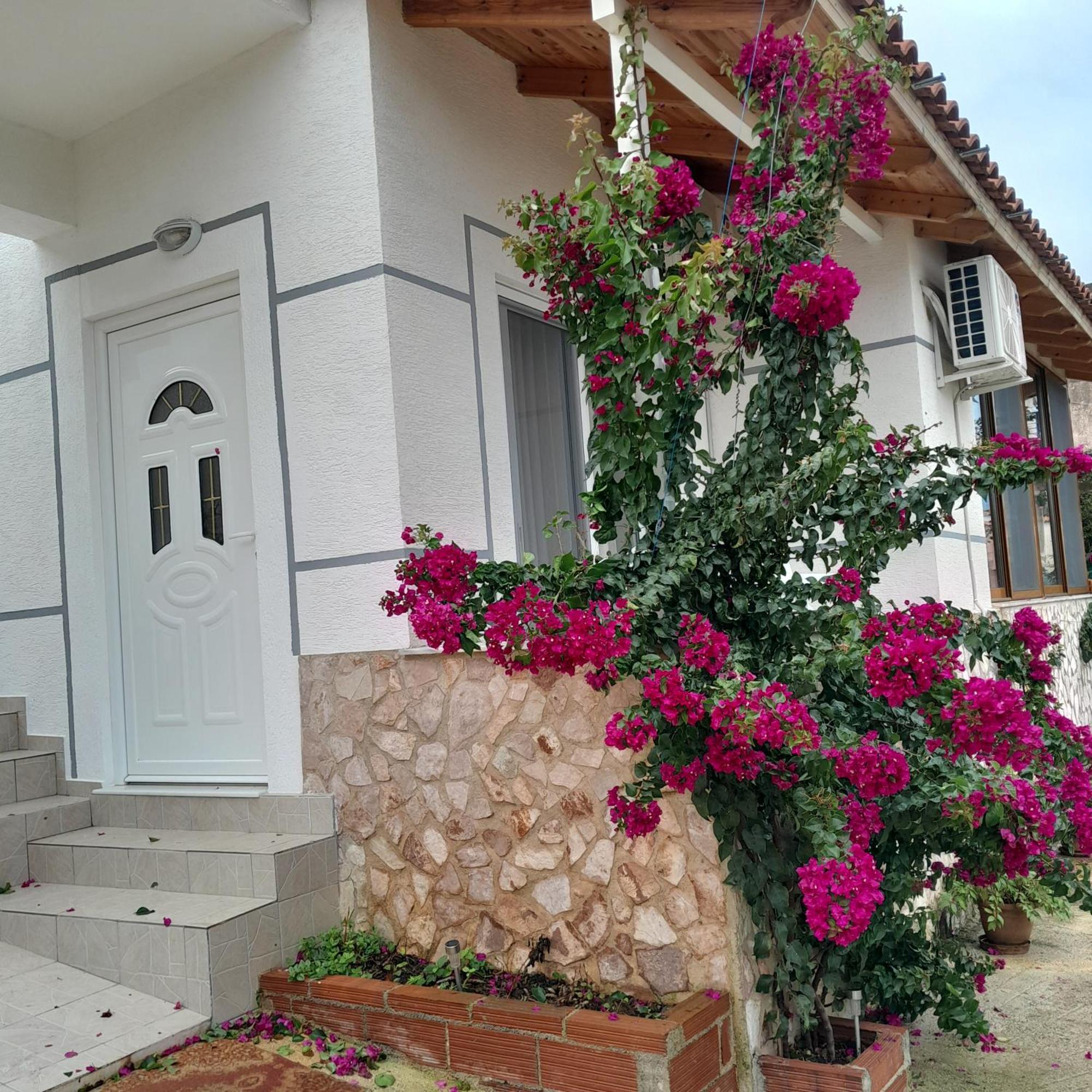 סרנדה Denni'S Home מראה חיצוני תמונה