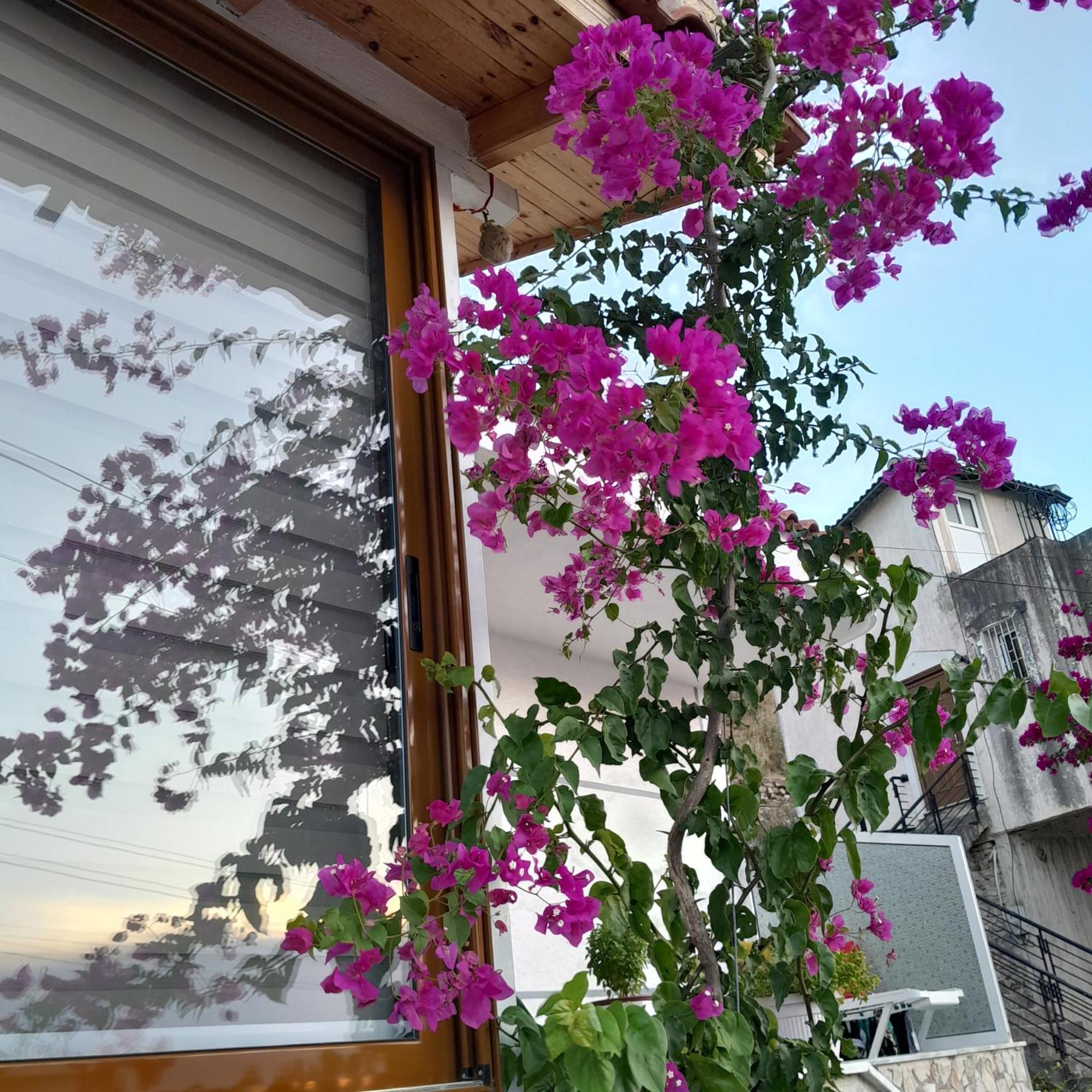 סרנדה Denni'S Home מראה חיצוני תמונה