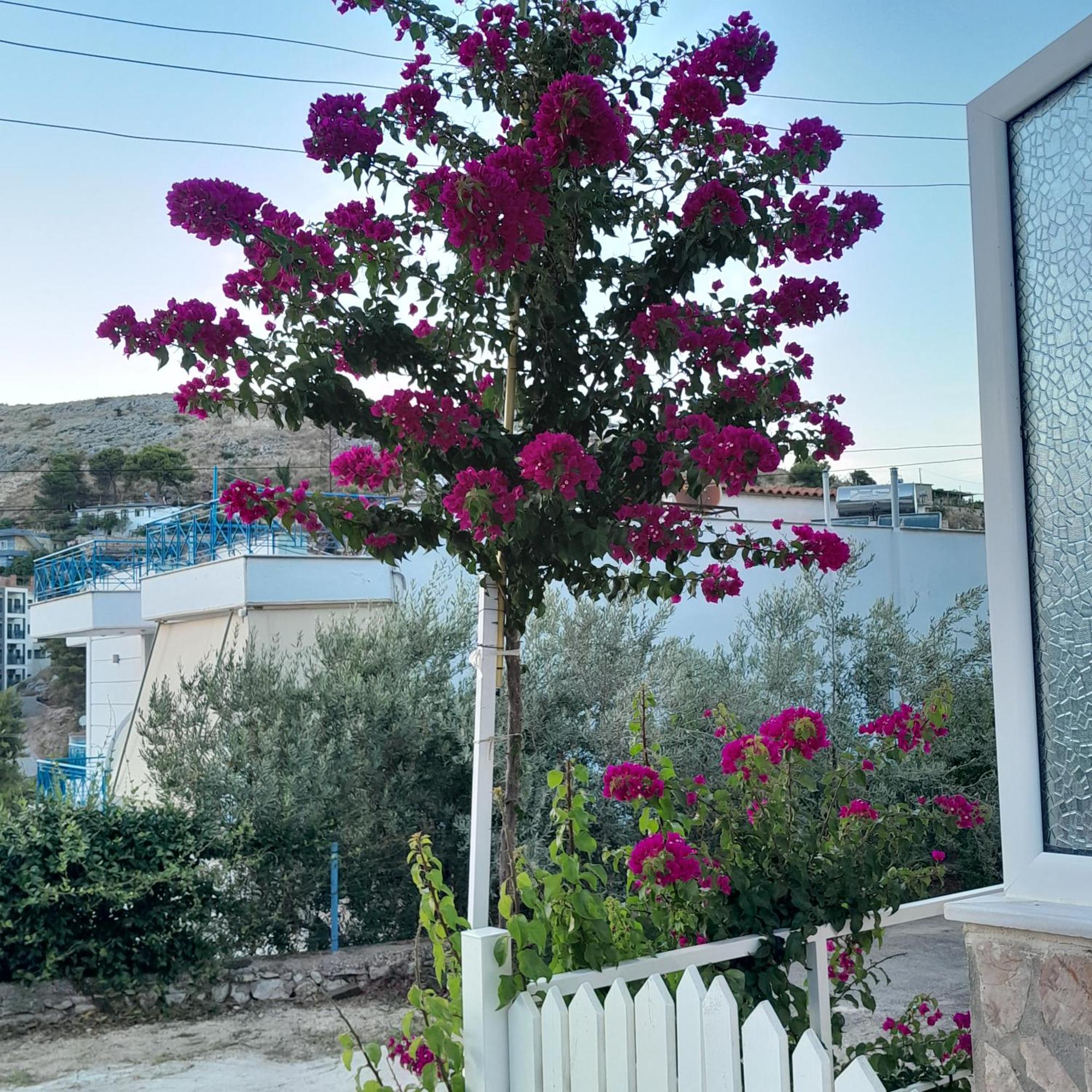 סרנדה Denni'S Home מראה חיצוני תמונה