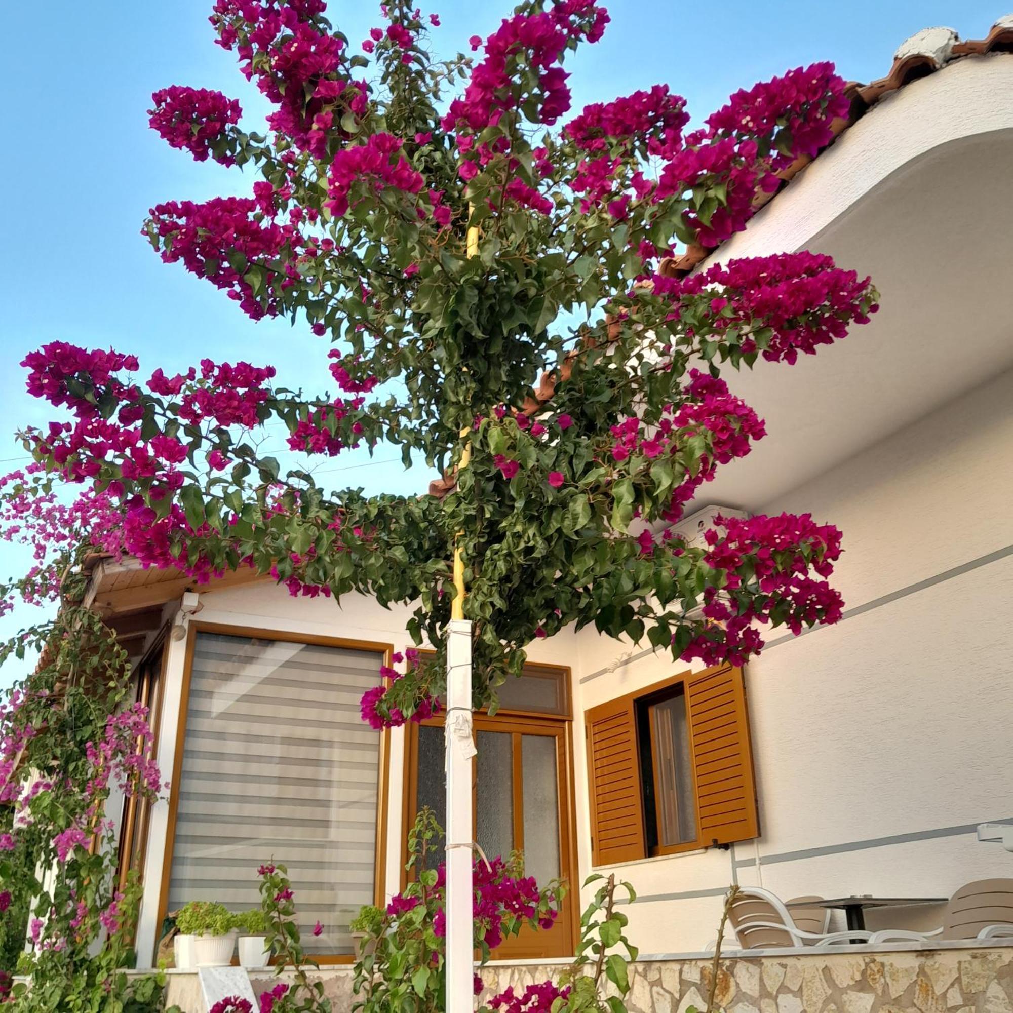 סרנדה Denni'S Home מראה חיצוני תמונה